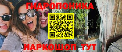шишки Уссурийск